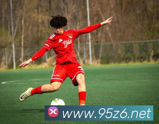 尊龙z6全站App